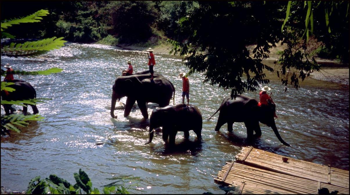 Хостел One Night Zleep At Nimman Чиангмай Экстерьер фото